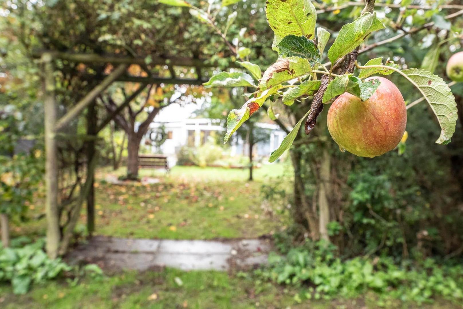 The Whins, A Light And Airy Bungalow In Aldringhamヴィラ エクステリア 写真